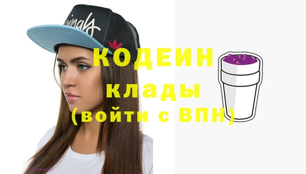 индика Баксан