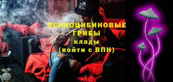 гидра Алексеевка