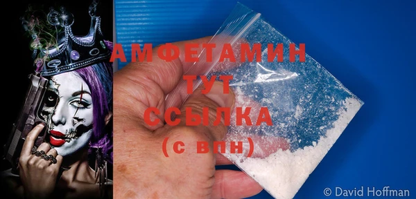 гидра Алексеевка