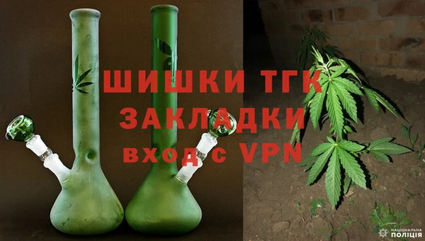 гидра Алексеевка