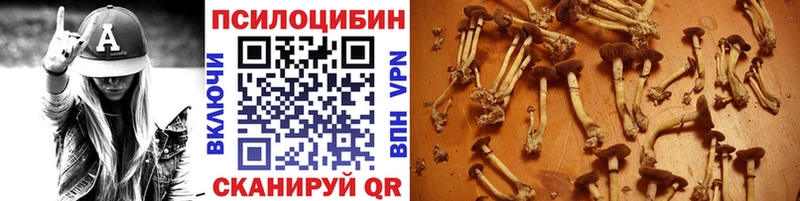 Купить закладки  Сланцы  Галлюциногенные грибы Psilocybe 