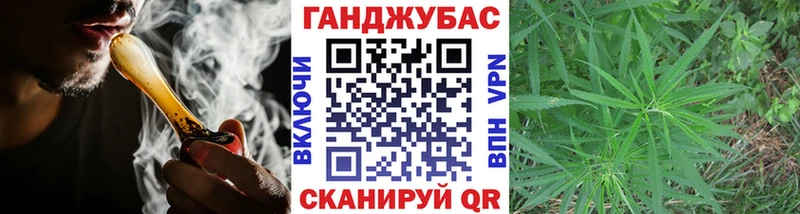 Купить где  Сланцы  Марихуана семена 